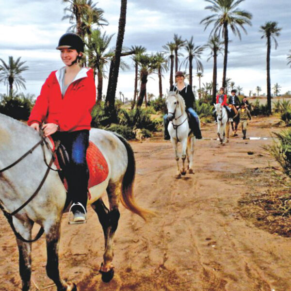 balade cheval marrakech